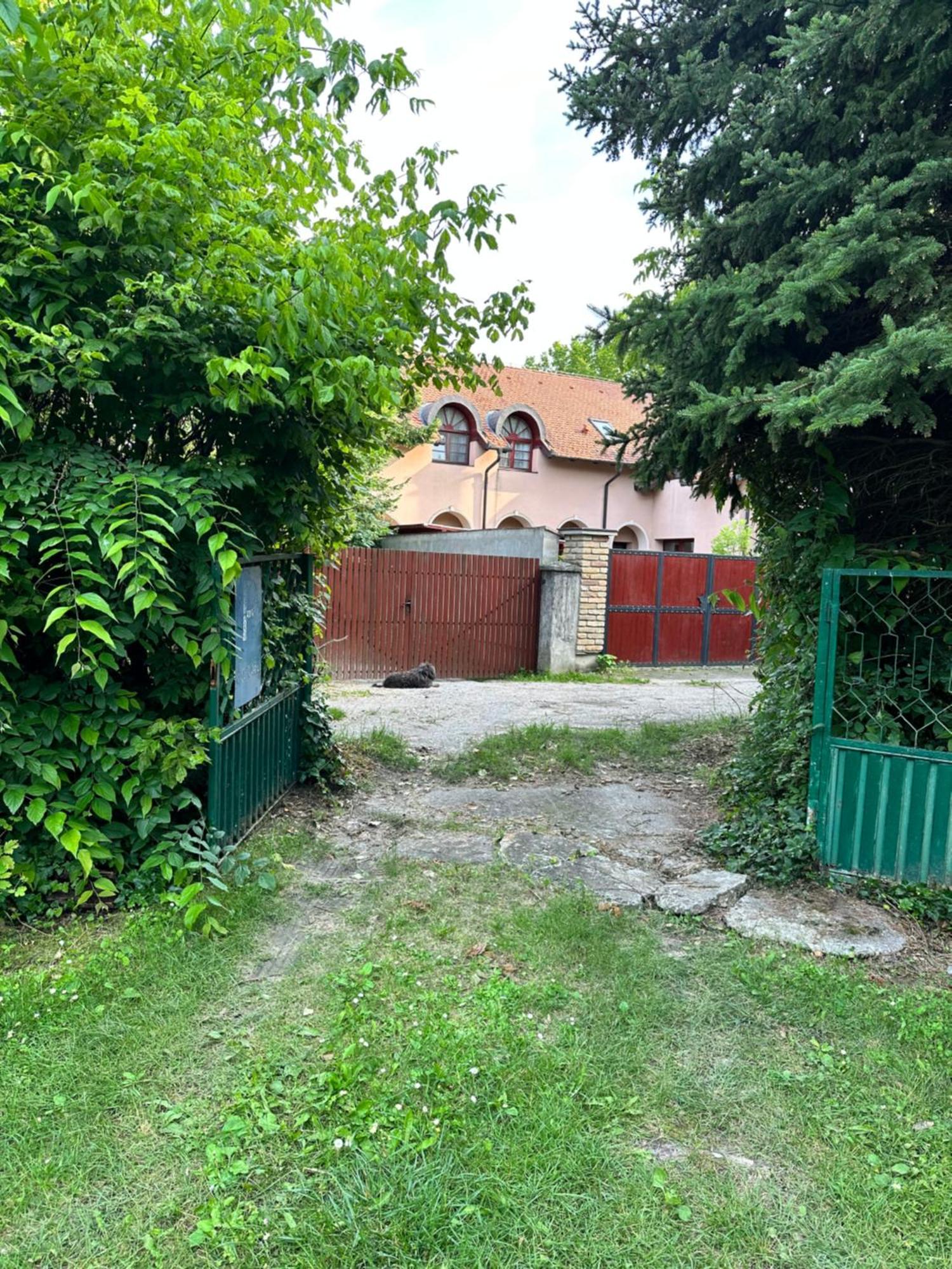 Vila Regina Палич Номер фото